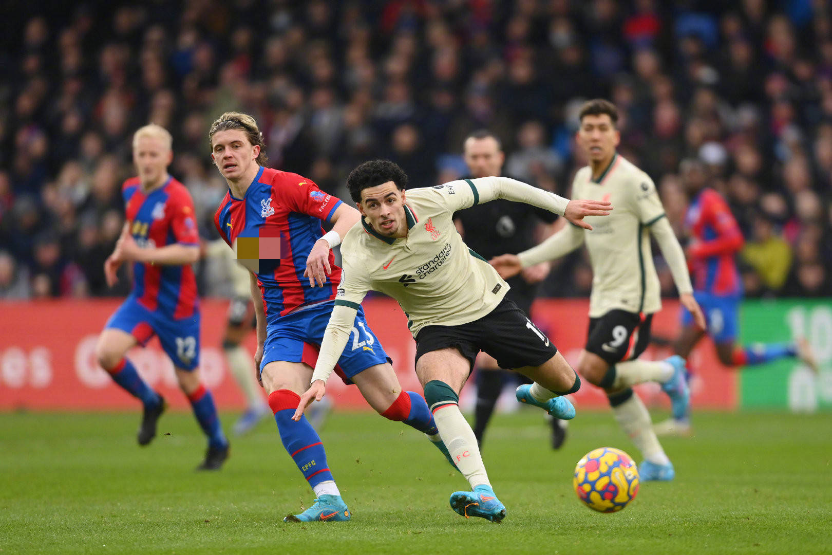 每一条动态 每一条动态